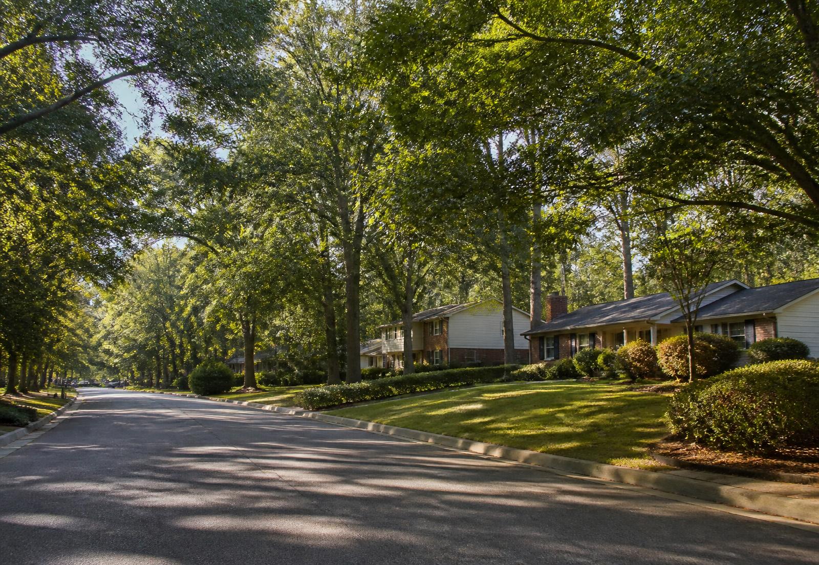 Mature tree-lined Dunwoody neighborhood with established brick and traditional homes