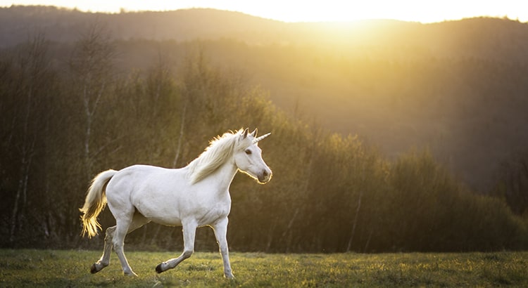 20230530 todays real estate market the unicorns have galloped off
