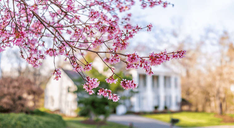 20250414 4 Ways To Make an Offer That Stands Out This Spring original