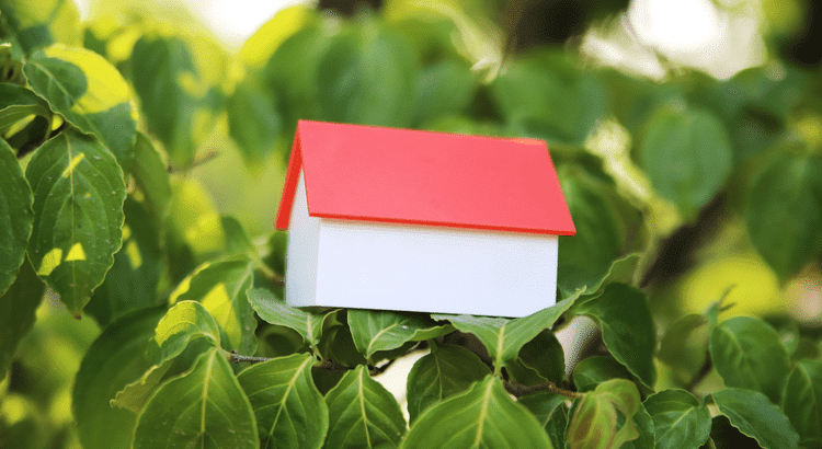 20250429 Why Today s Foreclosure Numbers Aren t a Warning Sign original
